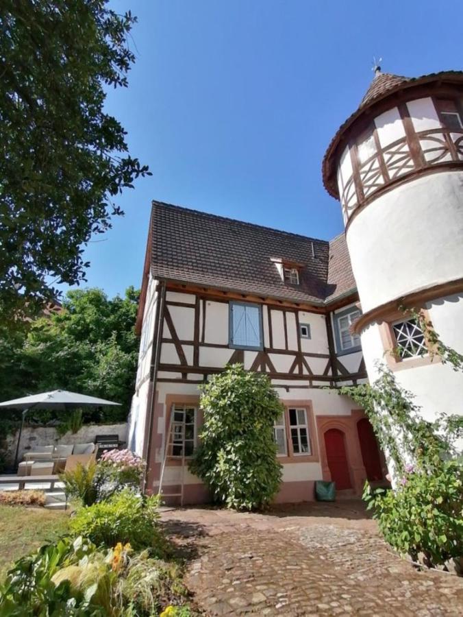 Maison Kobold Xvie Siecle Wissembourg Luaran gambar