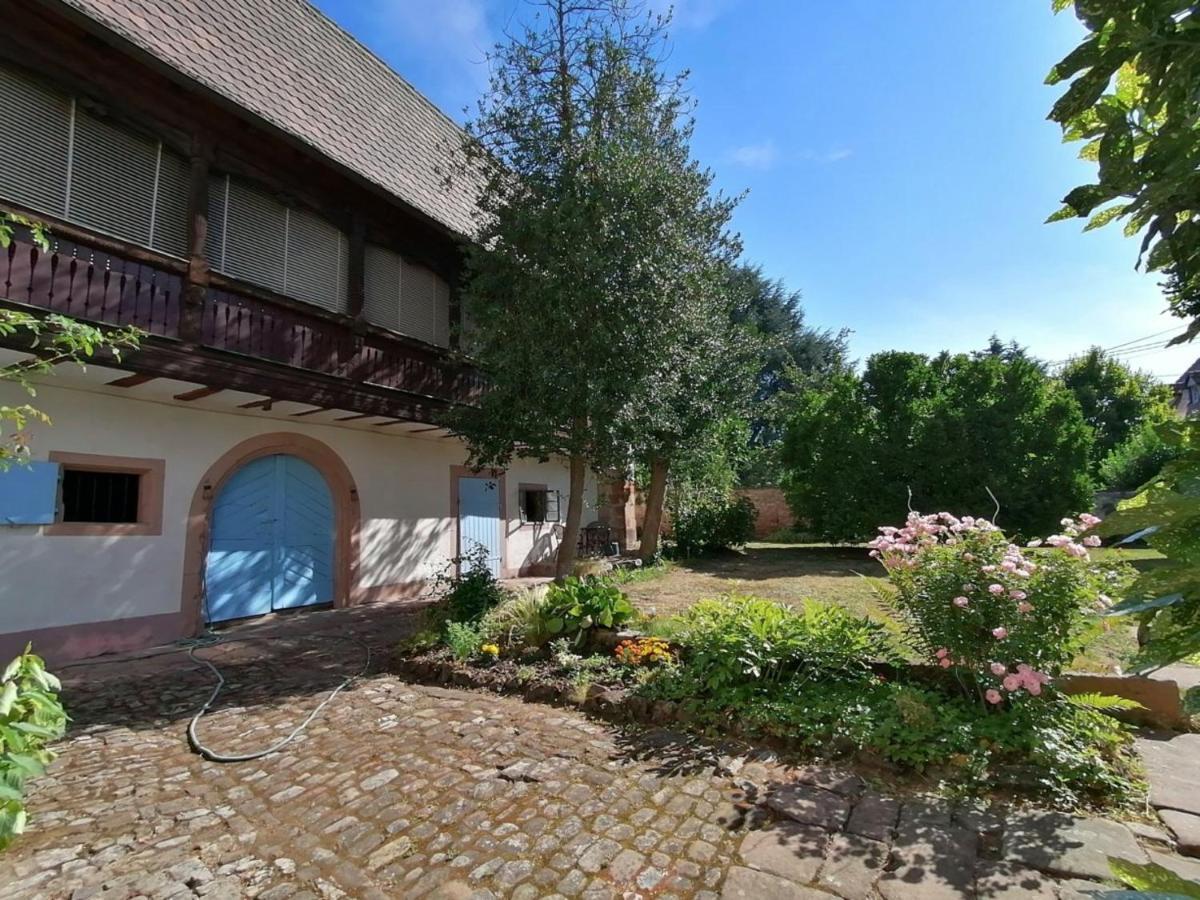 Maison Kobold Xvie Siecle Wissembourg Luaran gambar