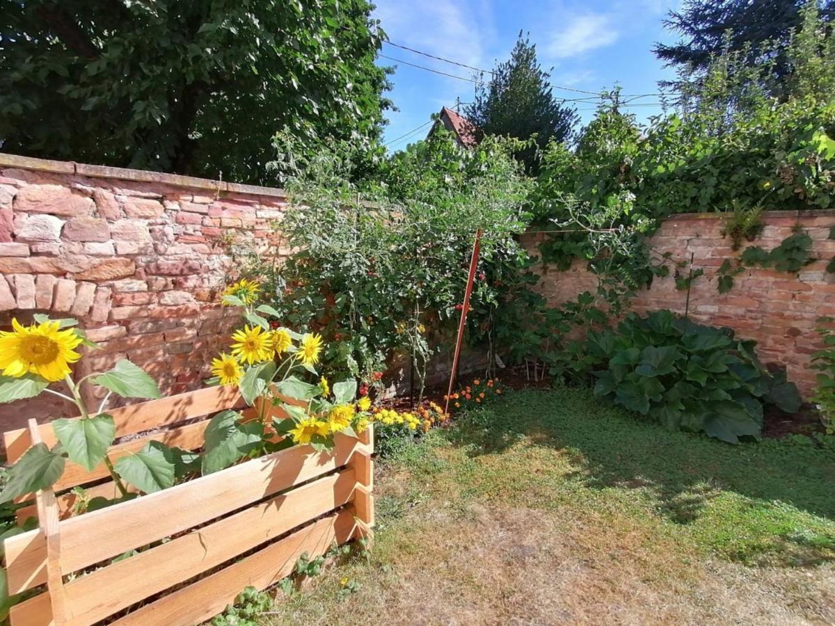 Maison Kobold Xvie Siecle Wissembourg Luaran gambar
