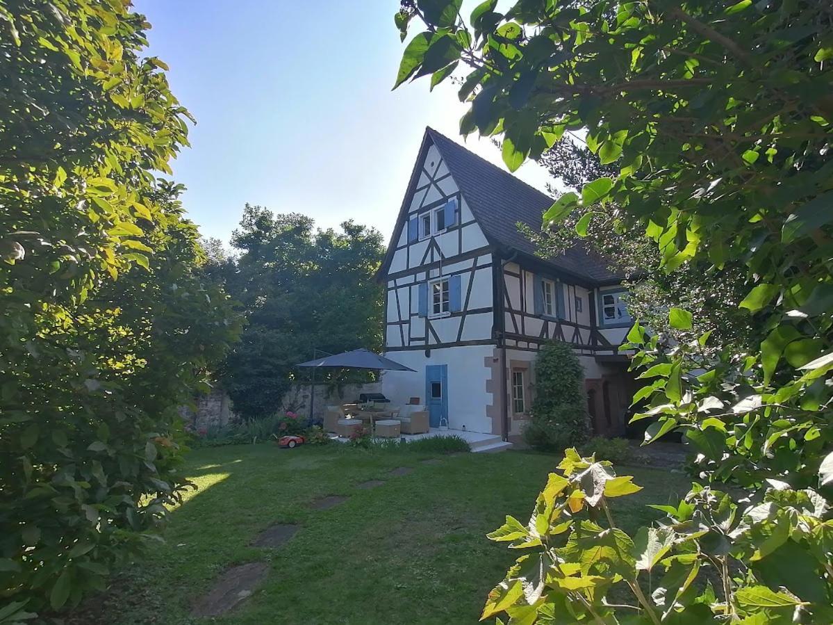 Maison Kobold Xvie Siecle Wissembourg Luaran gambar