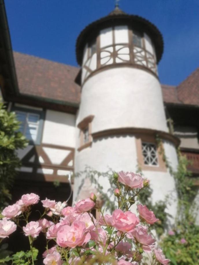 Maison Kobold Xvie Siecle Wissembourg Luaran gambar