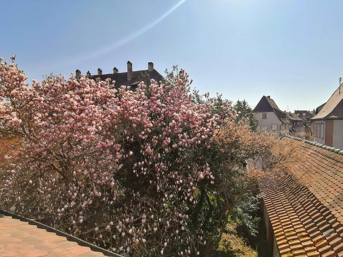 Maison Kobold Xvie Siecle Wissembourg Luaran gambar