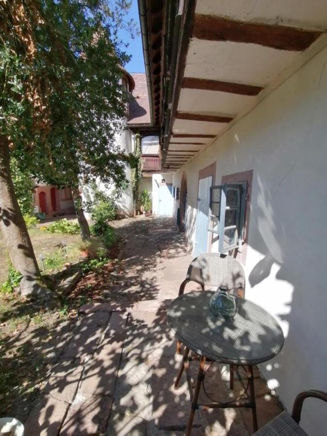 Maison Kobold Xvie Siecle Wissembourg Luaran gambar