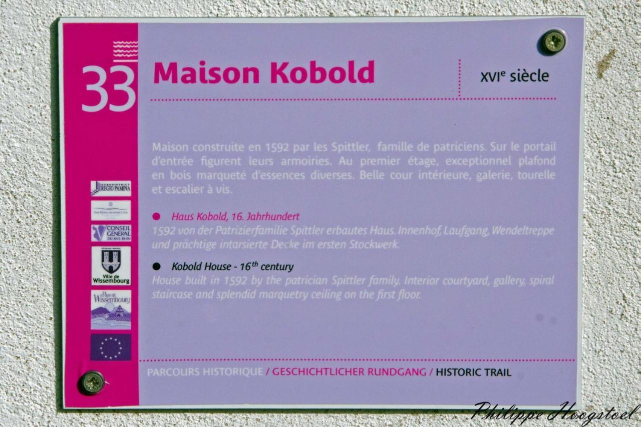Maison Kobold Xvie Siecle Wissembourg Luaran gambar