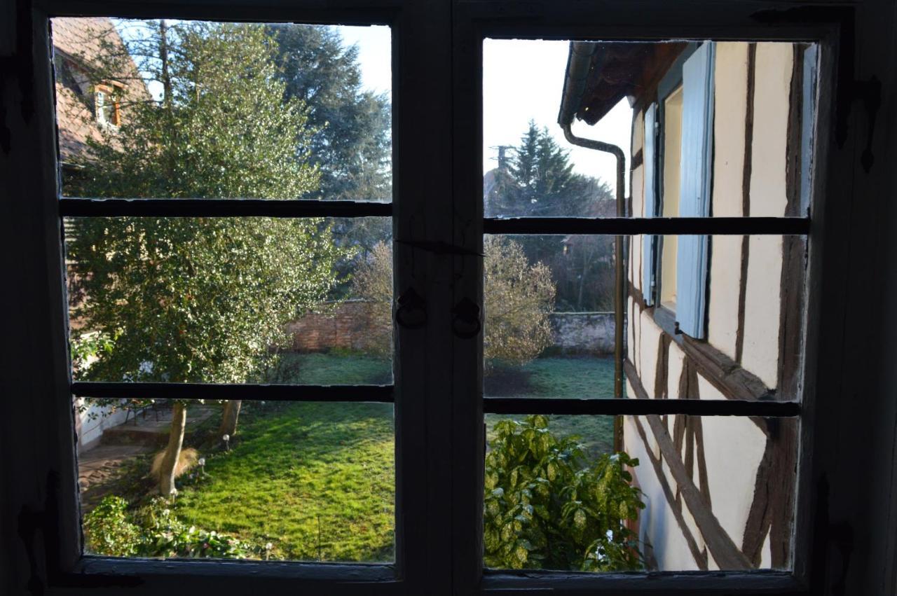 Maison Kobold Xvie Siecle Wissembourg Luaran gambar