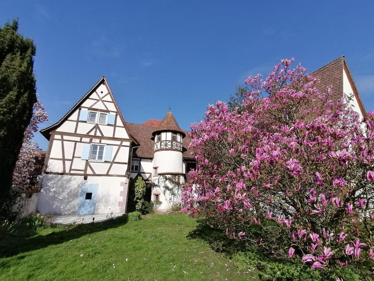 Maison Kobold Xvie Siecle Wissembourg Luaran gambar